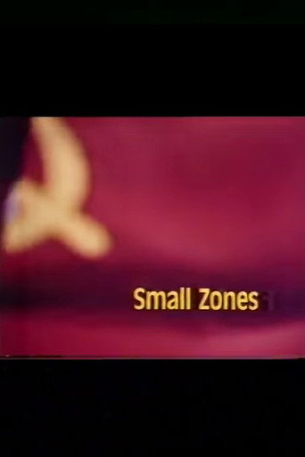 Póster de Small Zones