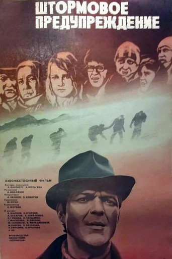 Póster de Storm Warning
