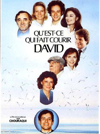 Póster de Qu'est-ce qui fait courir David ?