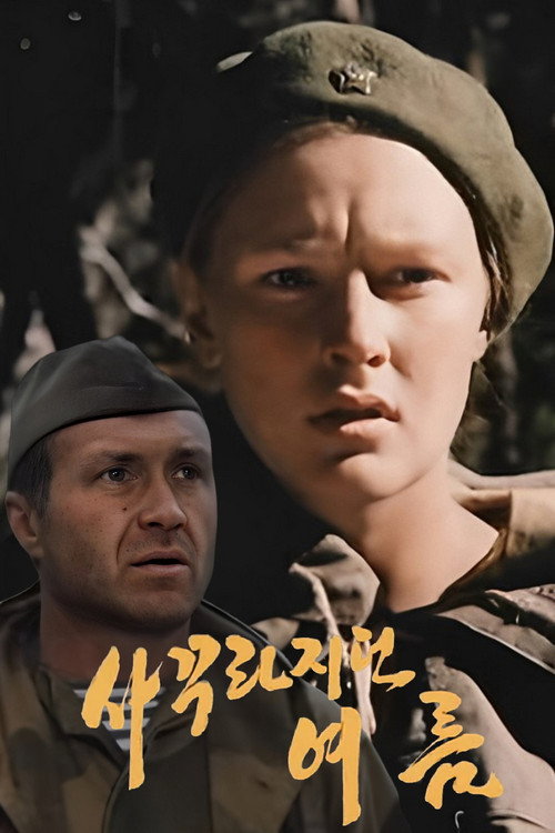 Póster de 봄에서 여름으로