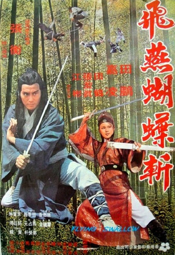 Póster de Fei yin hu die zhan