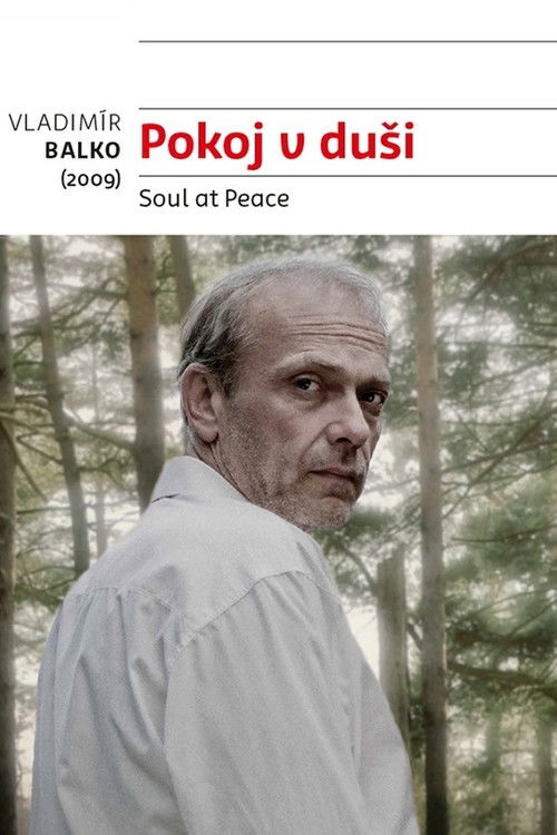 Póster de Pokoj v duši