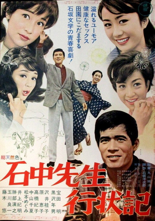 Póster de 石中先生行状記