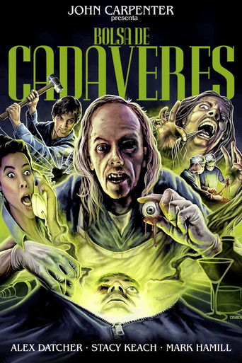 Póster de Body Bags