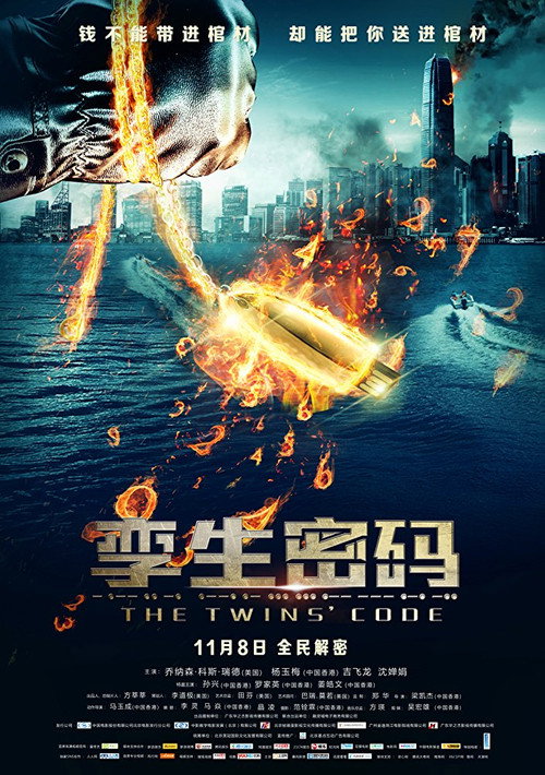 Póster de 孪生密码