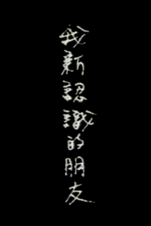 Póster de 我新认识的朋友