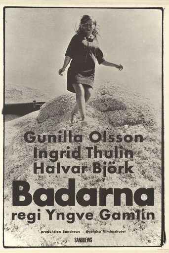 Póster de Badarna