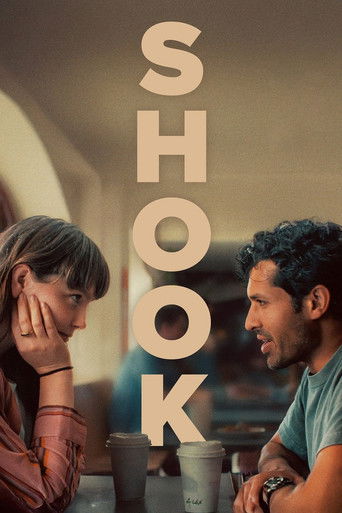 Póster de Shook