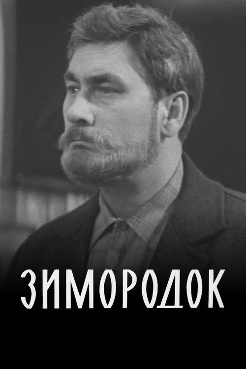 Póster de Зимородок