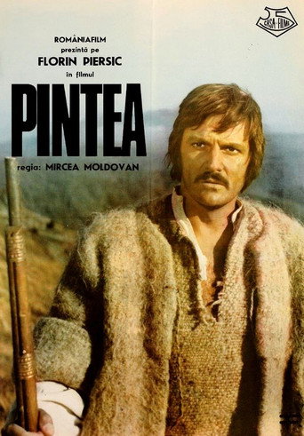 Póster de Pintea