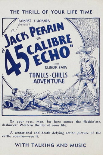 Póster de 45 Calibre Echo