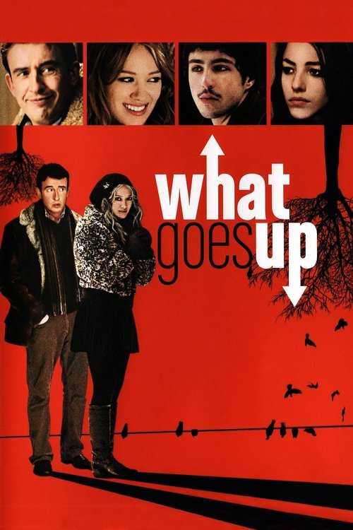 Póster de What Goes Up