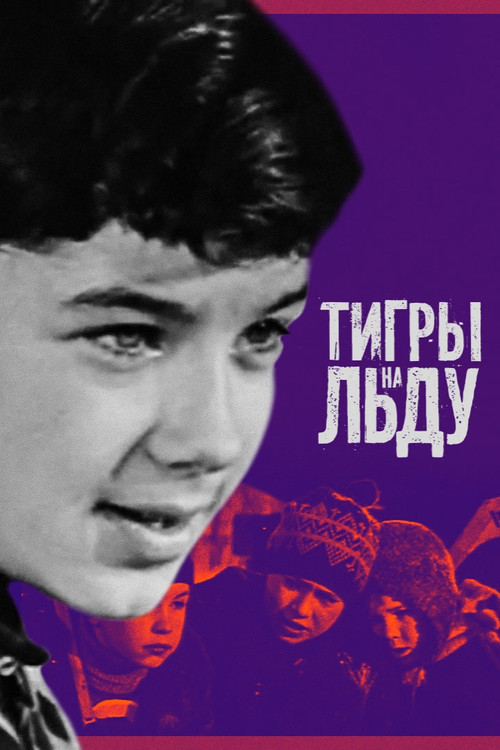 Póster de Тигры на льду