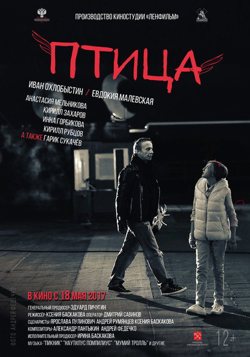 Póster de Птица