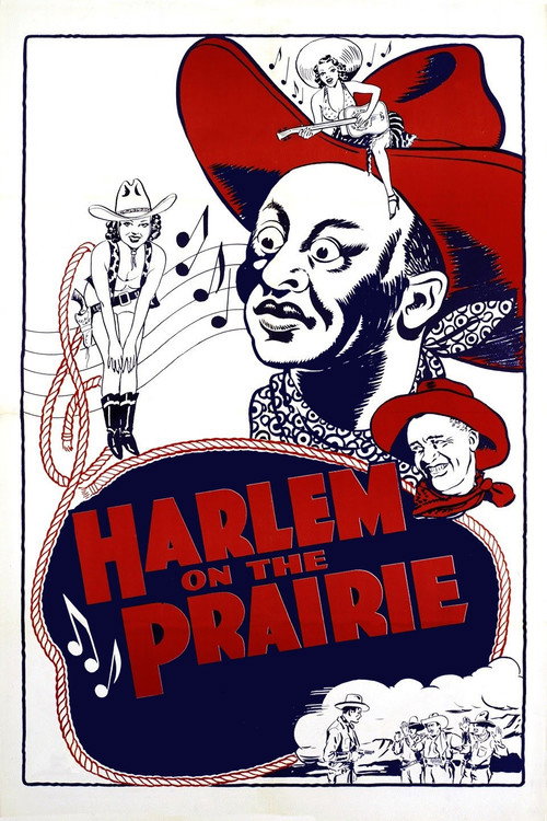 Póster de Harlem on the Prairie