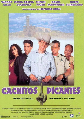 Póster de Picking Up the Pieces