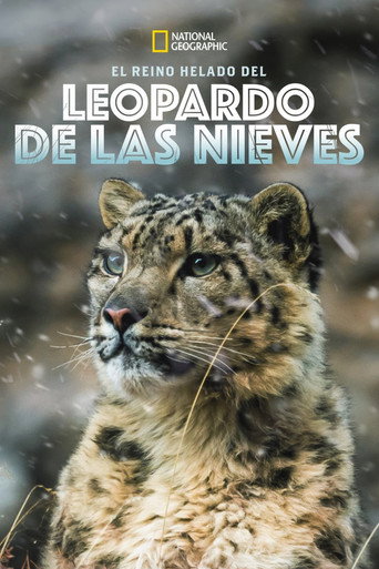 Póster de Leopardo de las Nieves