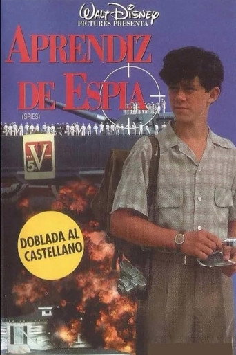 Póster de Spies