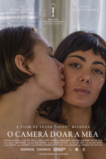 Póster de A Room of My Own