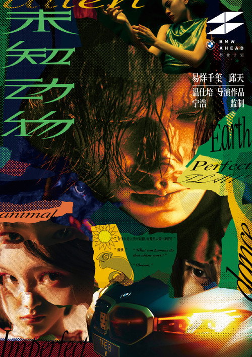 Póster de 未知动物