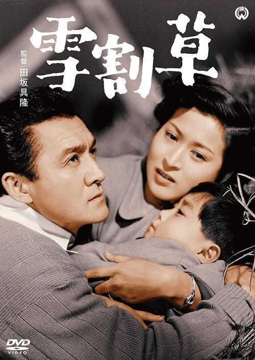 Póster de 雪割草