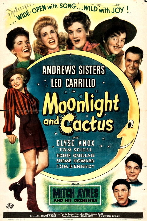 Póster de Moonlight and Cactus