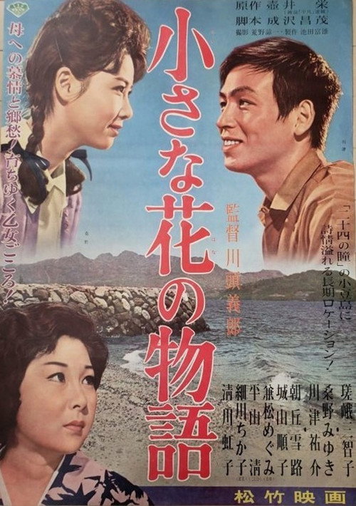 Póster de 小さな花の物語