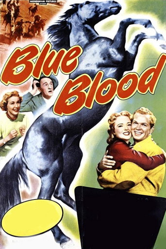 Póster de Blue Blood