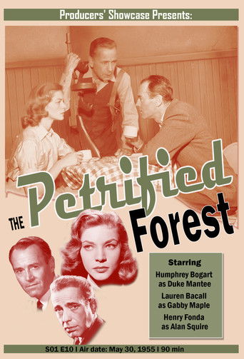Póster de The Petrified Forest