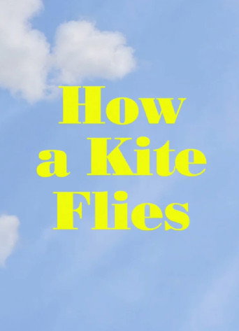 Póster de How a Kite Flies