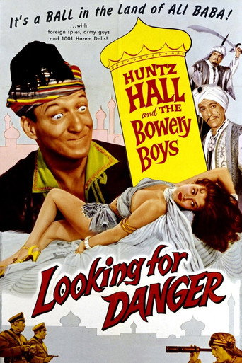 Póster de Looking for Danger