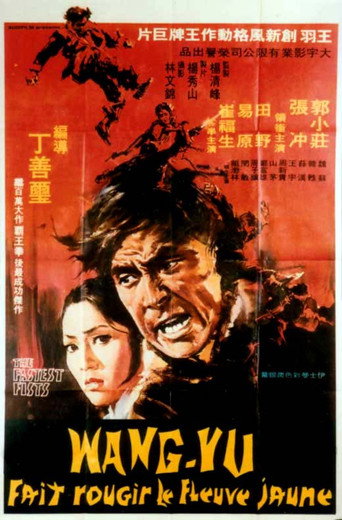 Póster de 大盜