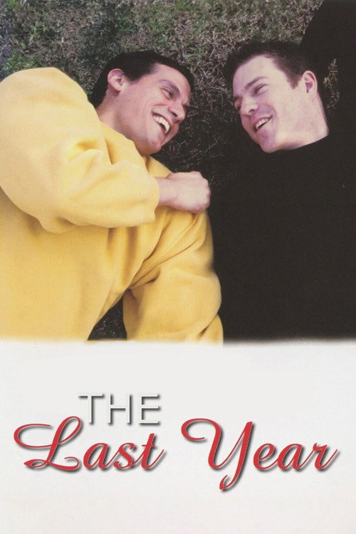 Póster de The Last Year