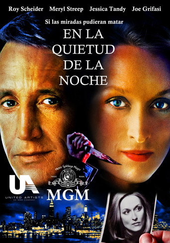 Póster de En la quietud de la noche