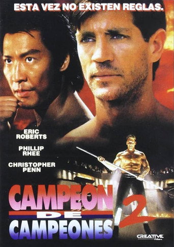 Póster de Lo mejor de lo mejor 2