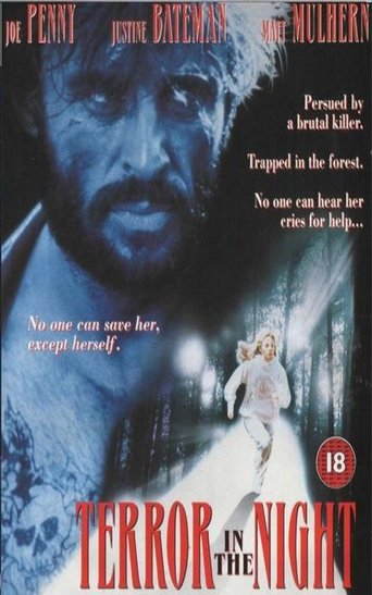 Póster de Terror in the Night