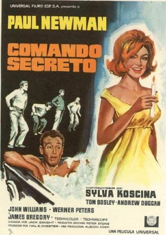 Póster de The Secret War of Harry Frigg