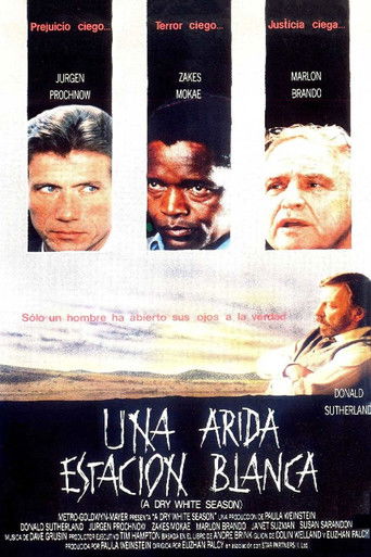 Póster de A Dry White Season
