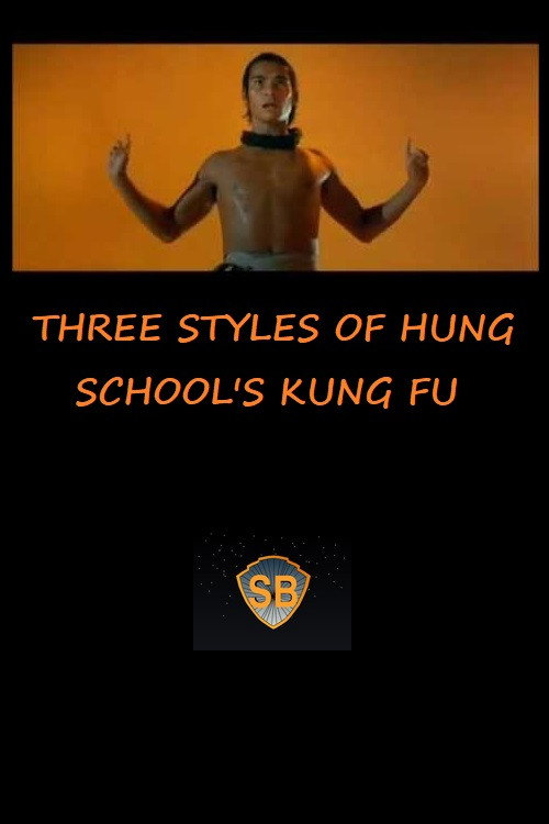 Póster de Three Styles of Hung School's Kung Fu