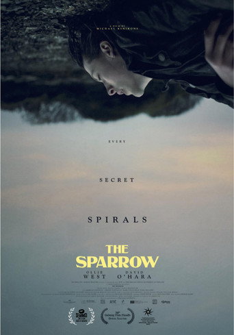 Póster de The Sparrow