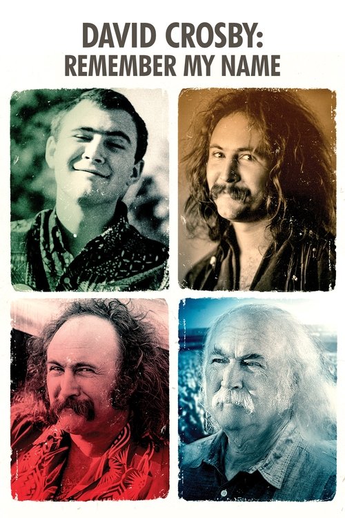 Póster de David Crosby: Remember My Name