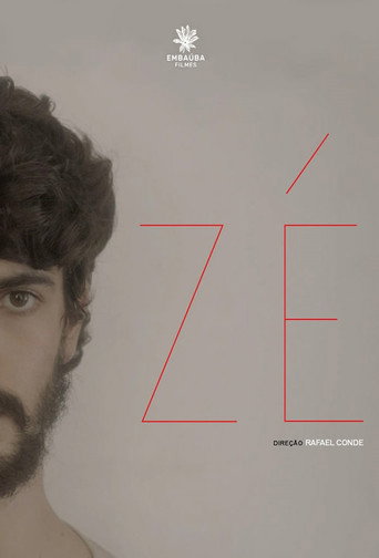 Póster de Zé