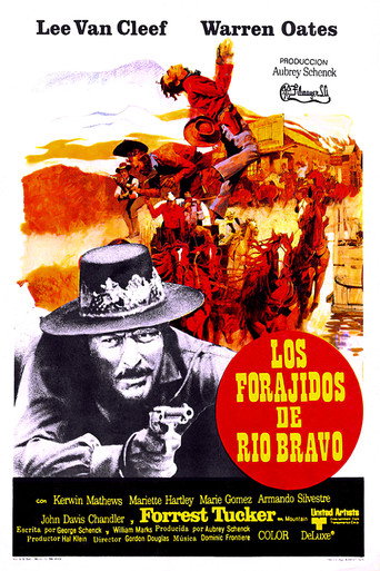 Póster de Barquero