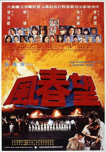 Póster de 望春風