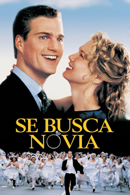 Póster de Se busca novia