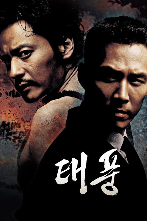 Póster de 태풍