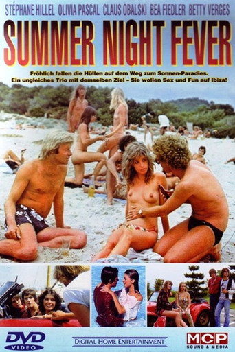 Póster de Summer Night Fever