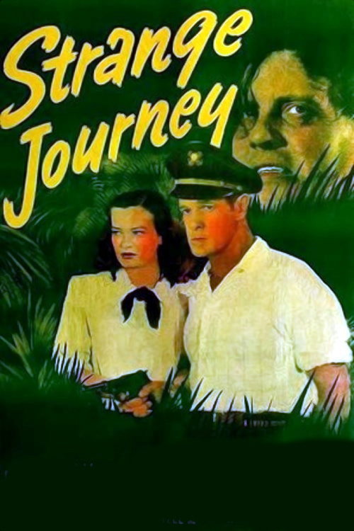 Póster de Strange Journey