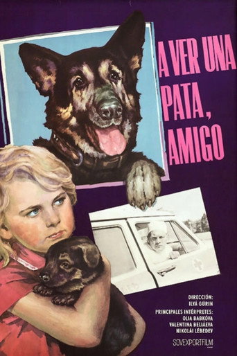 Póster de Дай лапу, Друг!