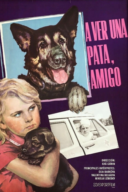 Póster de Дай лапу, Друг!